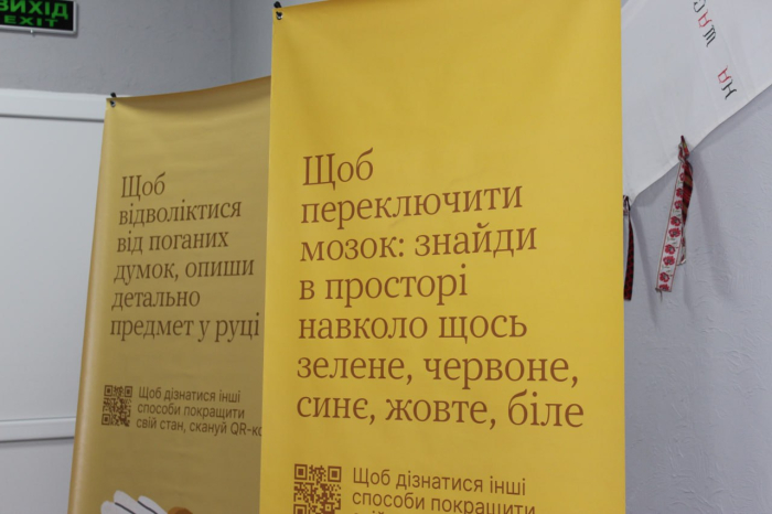 Команда «Ти як?» у громадах: на Кіровоградщині відбувся День спільнодії