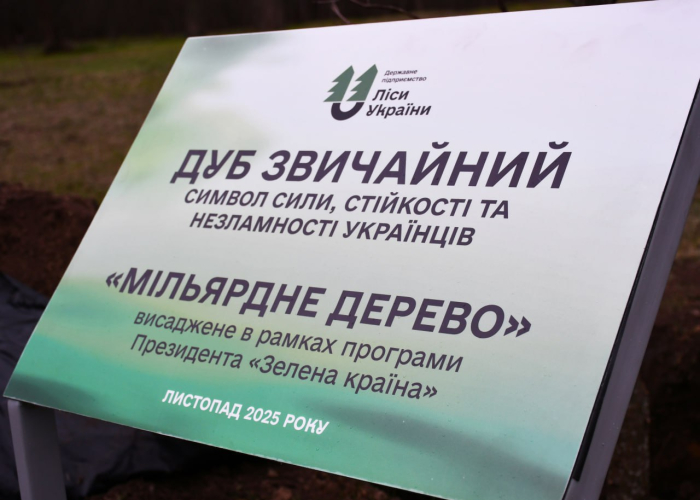 «Зелена країна»: у Кропивницькому висадили символічне мільярдне дерево
