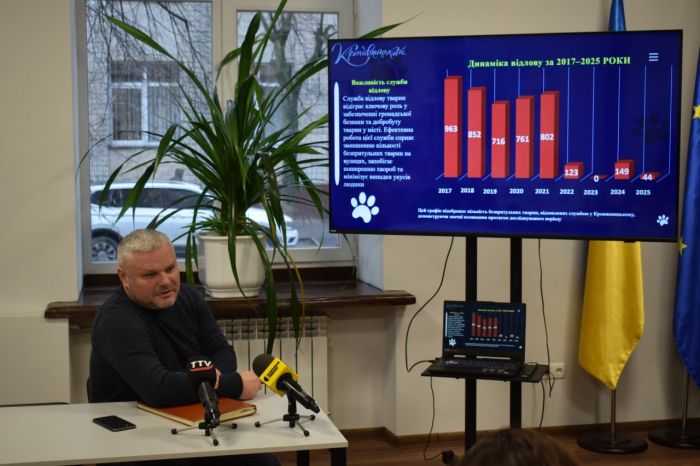 У Кропивницькому вперше розробили програму регулювання чисельності безпритульних тварин