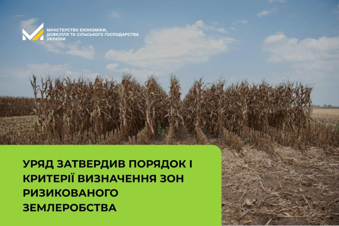 Захистимо енергосистему разом: чому підпали сухостою — це загроза для світла у ваших оселях