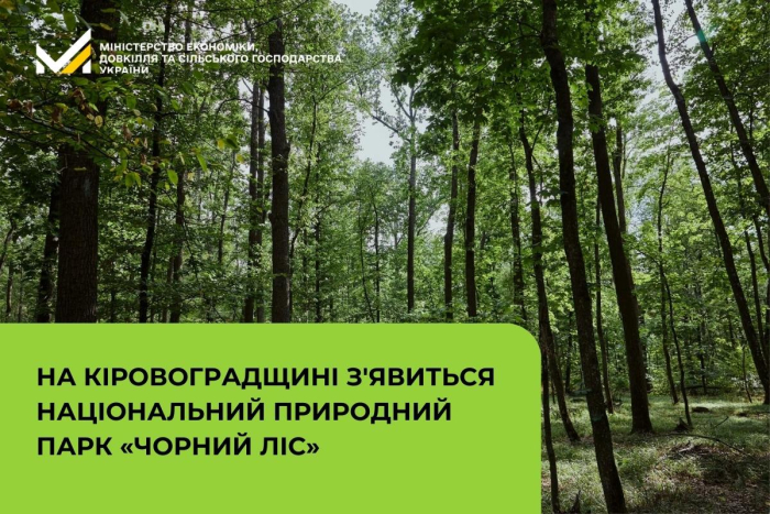 На Кіровоградщині з’явиться національний природний парк «Чорний Ліс»