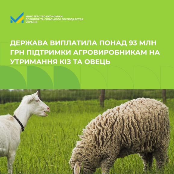 Понад 93 млн грн державної підтримки вже отримали українські фермери на утримання кіз та овець