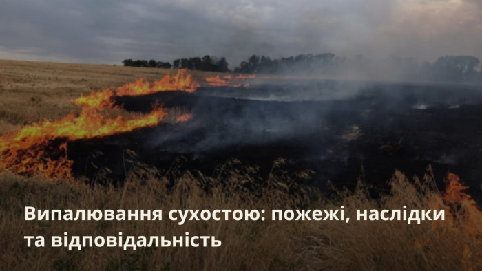Випалювання сухостою: пожежі, наслідки та відповідальність