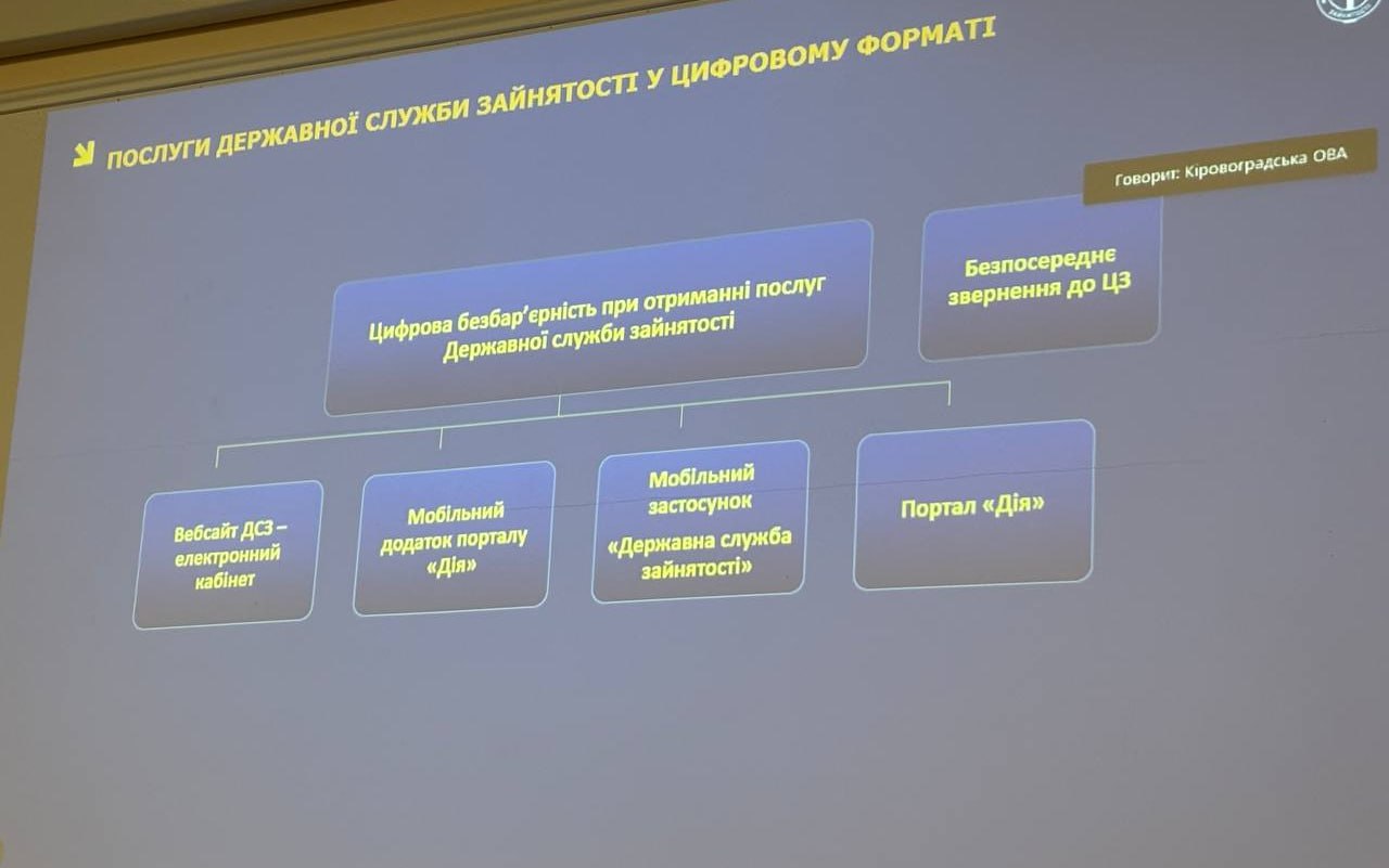 На Кіровоградщині обговорили безбар'єрні сервіси: регіональна платформа "Діалог влади та бізнесу" у дії - фото 6