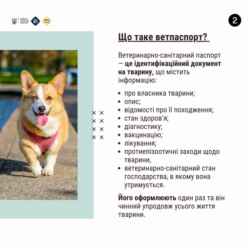Офіційний ветеринарний паспорт - це документ, що містить усю інформацію про стан здоров'я тварини, її вакцинацію та лікування - фото 1