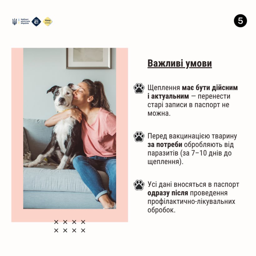 Офіційний ветеринарний паспорт - це документ, що містить усю інформацію про стан здоров'я тварини, її вакцинацію та лікування - фото 4