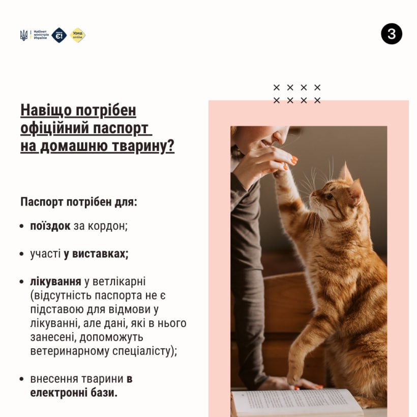 Офіційний ветеринарний паспорт - це документ, що містить усю інформацію про стан здоров'я тварини, її вакцинацію та лікування - фото 2