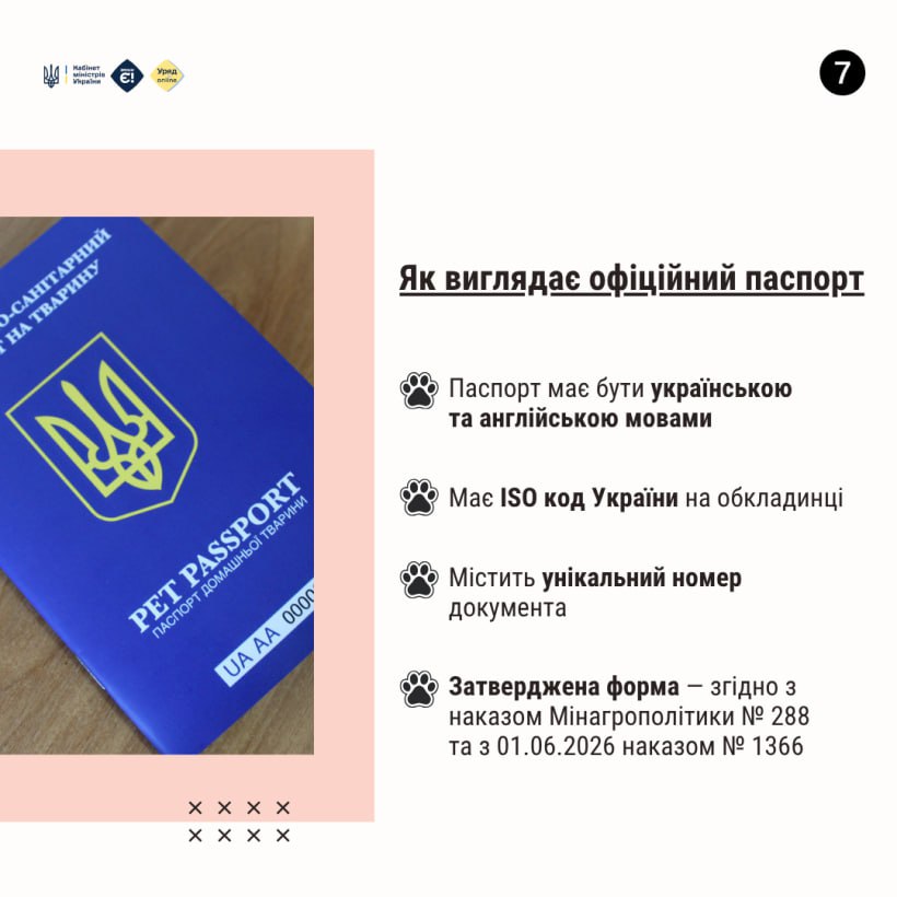 Офіційний ветеринарний паспорт - це документ, що містить усю інформацію про стан здоров'я тварини, її вакцинацію та лікування - фото 6