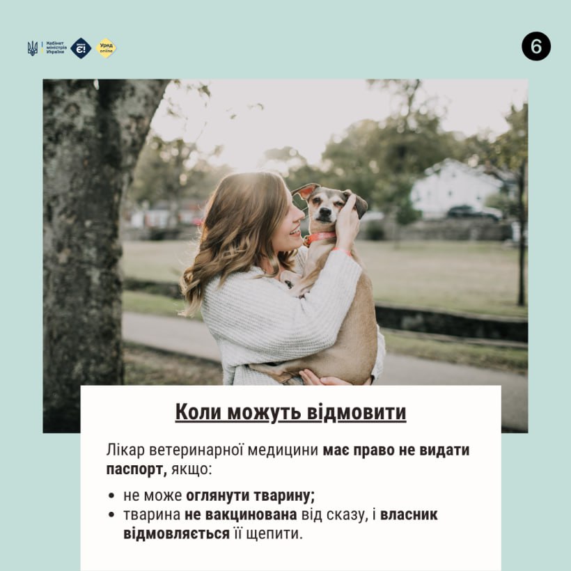 Офіційний ветеринарний паспорт - це документ, що містить усю інформацію про стан здоров'я тварини, її вакцинацію та лікування - фото 5