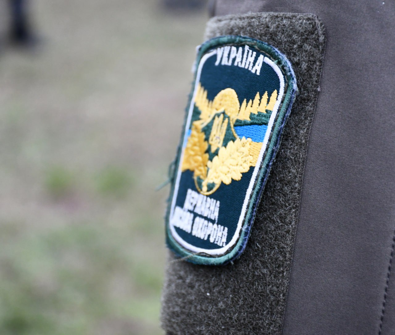 "Зелена країна": у Кропивницькому висадили символічне мільярдне дерево - фото 4