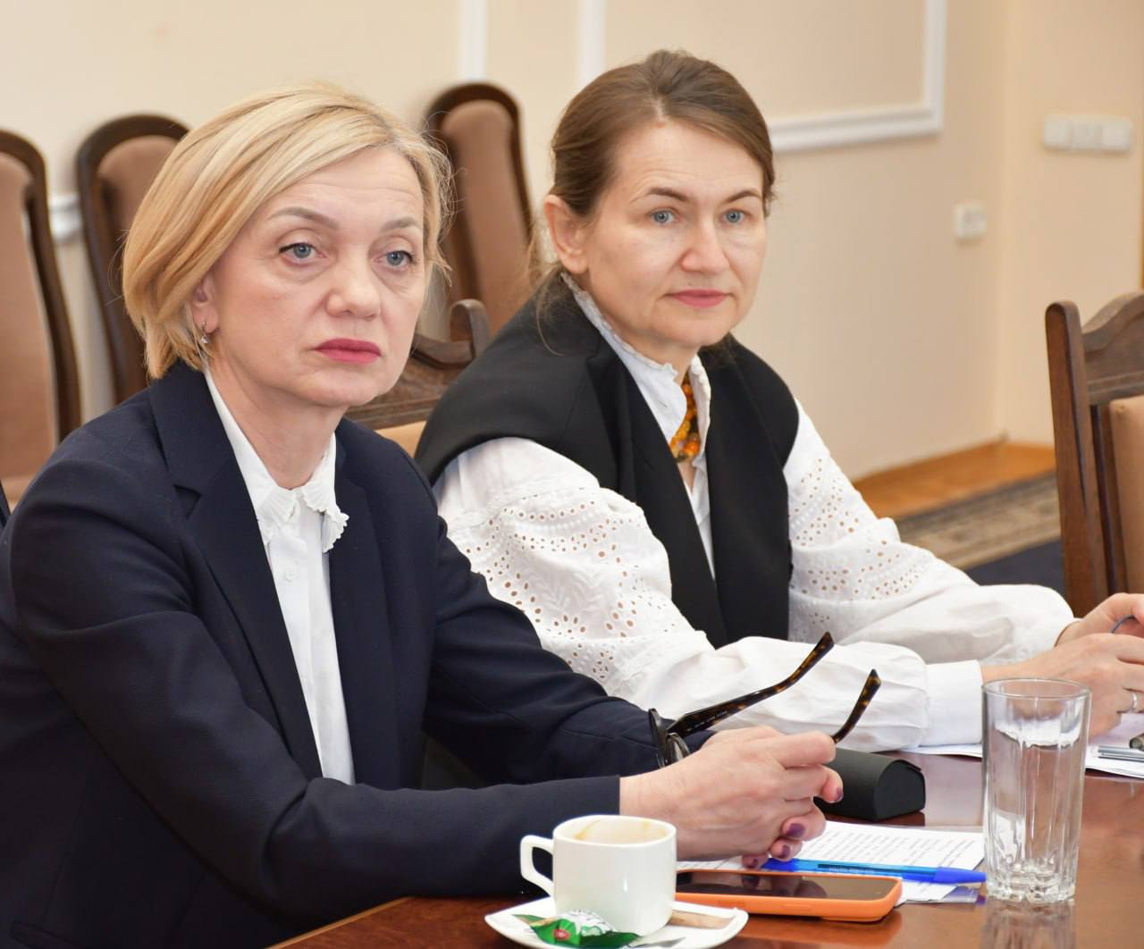Сьогодні провели ділову зустріч із Уповноваженою із захисту державної мови Оленою Івановською - фото 2