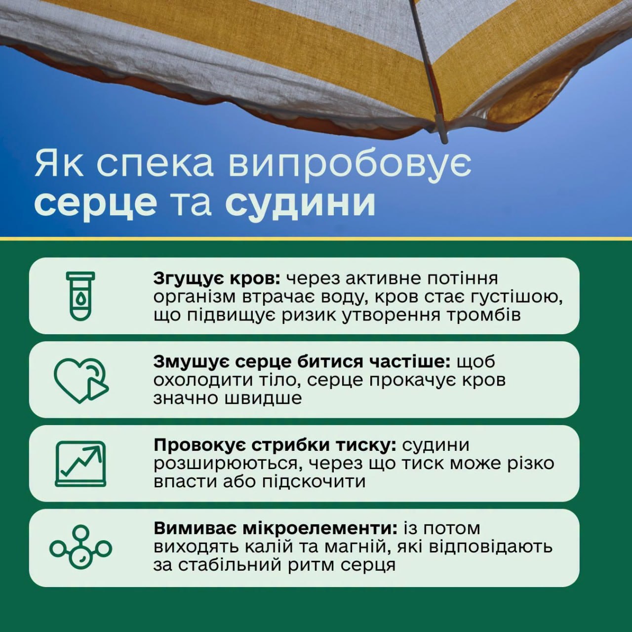 Спека - серйозне випробування для серця та судин. - фото 1